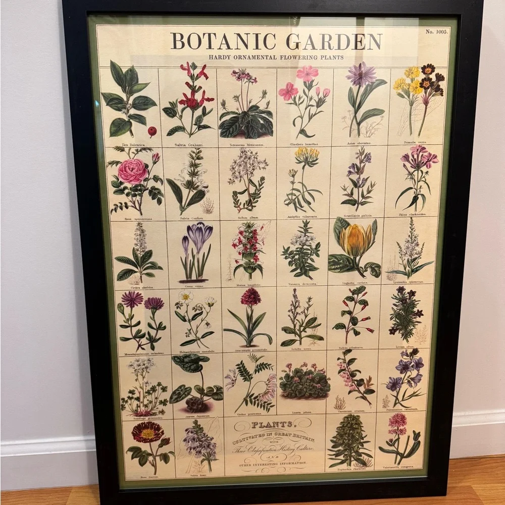 Framed Paper Source Botanical Art Poster - Multicolor